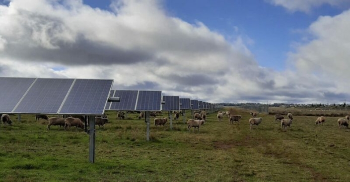 The partial shade offered by solar panels creates a microclimate that reduces evaporation and significantly boosts the production of vegetation in arid climates.