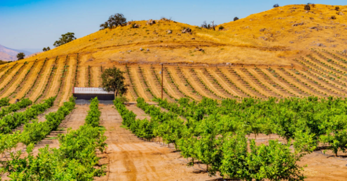 San Joaquin Valley may become home to vast solar arrays turning fallowed farmland into a source of clean energy while sustaining local jobs.