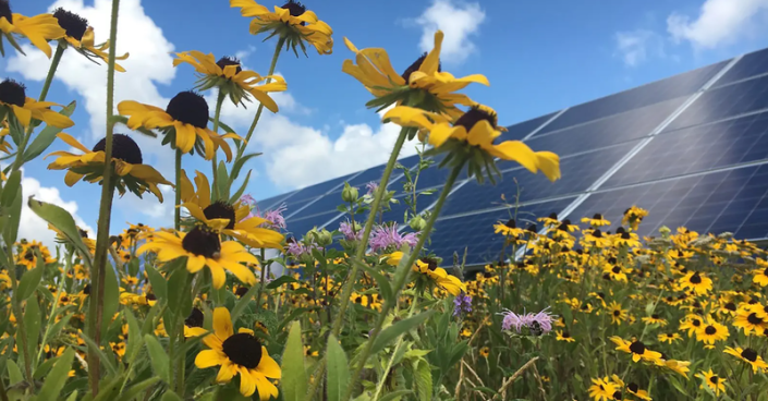 With solar farms, the US agriculture industry once again demonstrates its ability to embrace new technologies and practices.