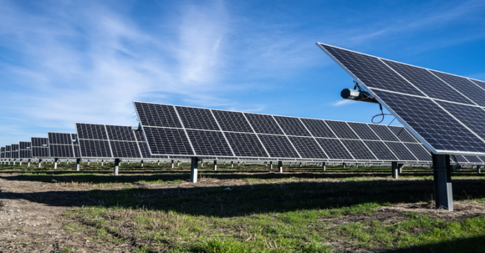 Texas is fast becoming a leader in solar power. So far this year, about 7% of the electric power used has come from solar, and 31% from wind.