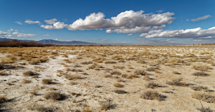 Federal land managers auctioned off thousands of acres in Nevada’s Amargosa desert for solar development, resulting in the highest-yielding onshore renewable energy auction in the agency’s history.