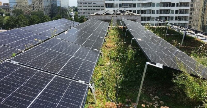 Scientists in the Netherlands have assessed how the so-called blue-green roofs can help reduce the operating temperature of rooftop PV panels and have found they provide a significant cooling effect.