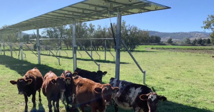 Date Creek rancher Savannah Figueroa is using federal dollars to reduce her carbon footprint while growing her business.