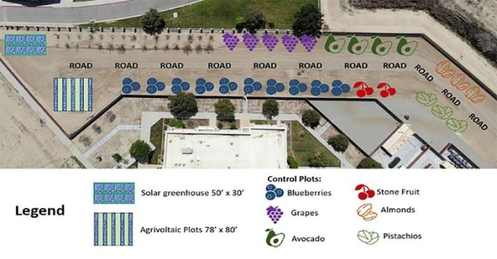 KCCD's CREL announced plans this week for an agrivoltaic demonstration at Bakersfield College's Delano campus.