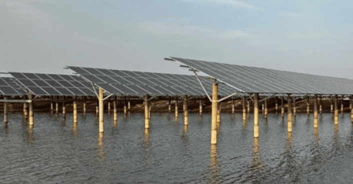 Installing solar panels over fish farms can help boost seafood harvests by 50% while generating huge amounts of pollution-free electricity.