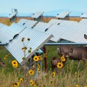 As the deployment of solar energy continues to accelerate, American farmers are finding new opportunities to share the benefits