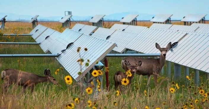 As the deployment of solar energy continues to accelerate, American farmers are finding new opportunities to share the benefits