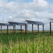 A Purdue University team optimized corn yields in solar-powered fields by managing dynamic shadows cast by solar arrays throughout the day.