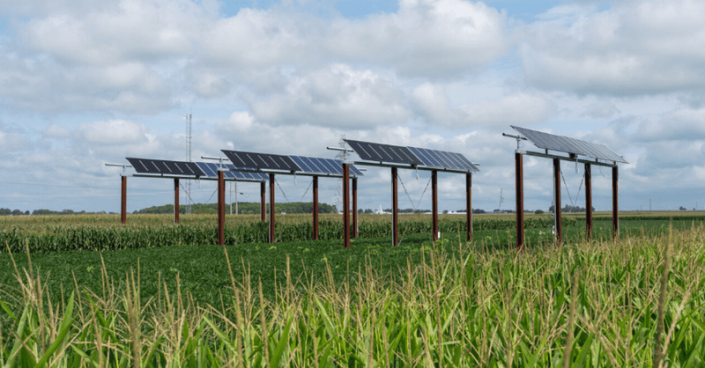 A Purdue University team optimized corn yields in solar-powered fields by managing dynamic shadows cast by solar arrays throughout the day.