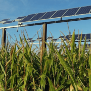 Researchers from Purdue University have studied the impact of traditional photovoltaic systems and agrivoltaics deployed in corn croplands.